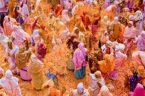 widows celebrate Holi